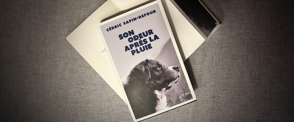 « Son odeur après la pluie », de Cédric Sapin-Defour, retour sur le succès littéraire