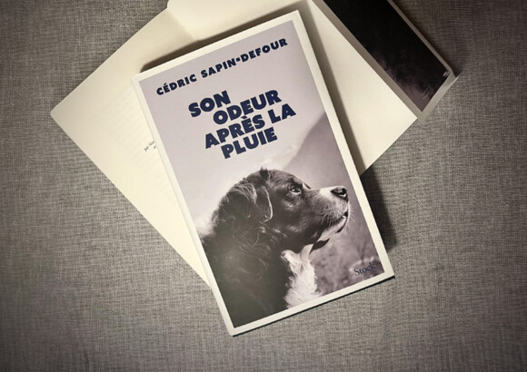 « Son odeur après la pluie », de Cédric Sapin-Defour, retour sur le succès littéraire