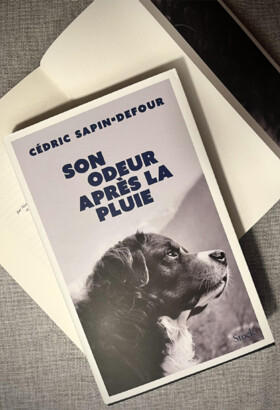 « Son odeur après la pluie », de Cédric Sapin-Defour, retour sur le succès littéraire