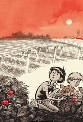 Voilà le coup de coeur BD : Ginseng roots de "Craig Thompson"