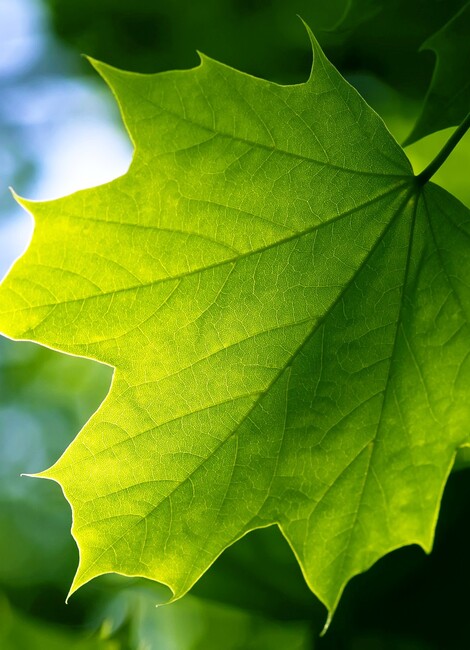 Les 10 ans de la Semaine du développement durable