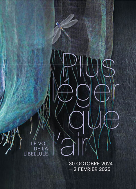 Plus léger que l’air - Le vol de la libellule