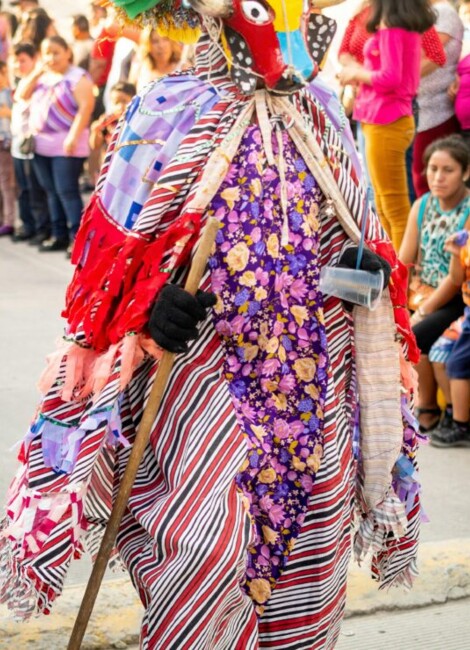 LE CARNAVAL DES HUMANIMAUX