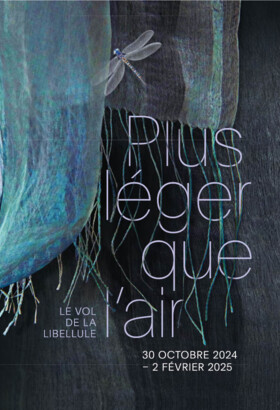 Plus léger que l’air - Le vol de la libellule