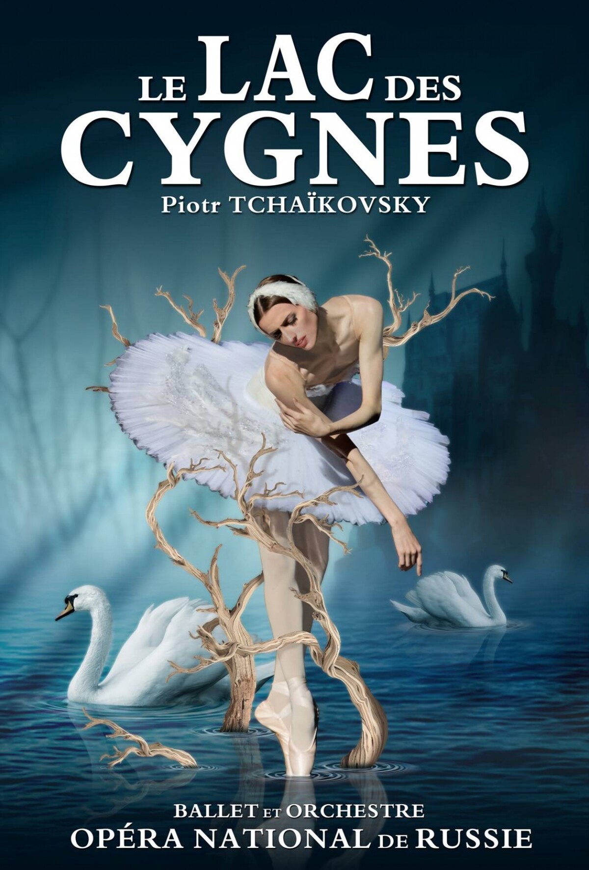 Le Lac Des Cygnes Spectacle Ballet 18 Mars 2020 à Annecy 